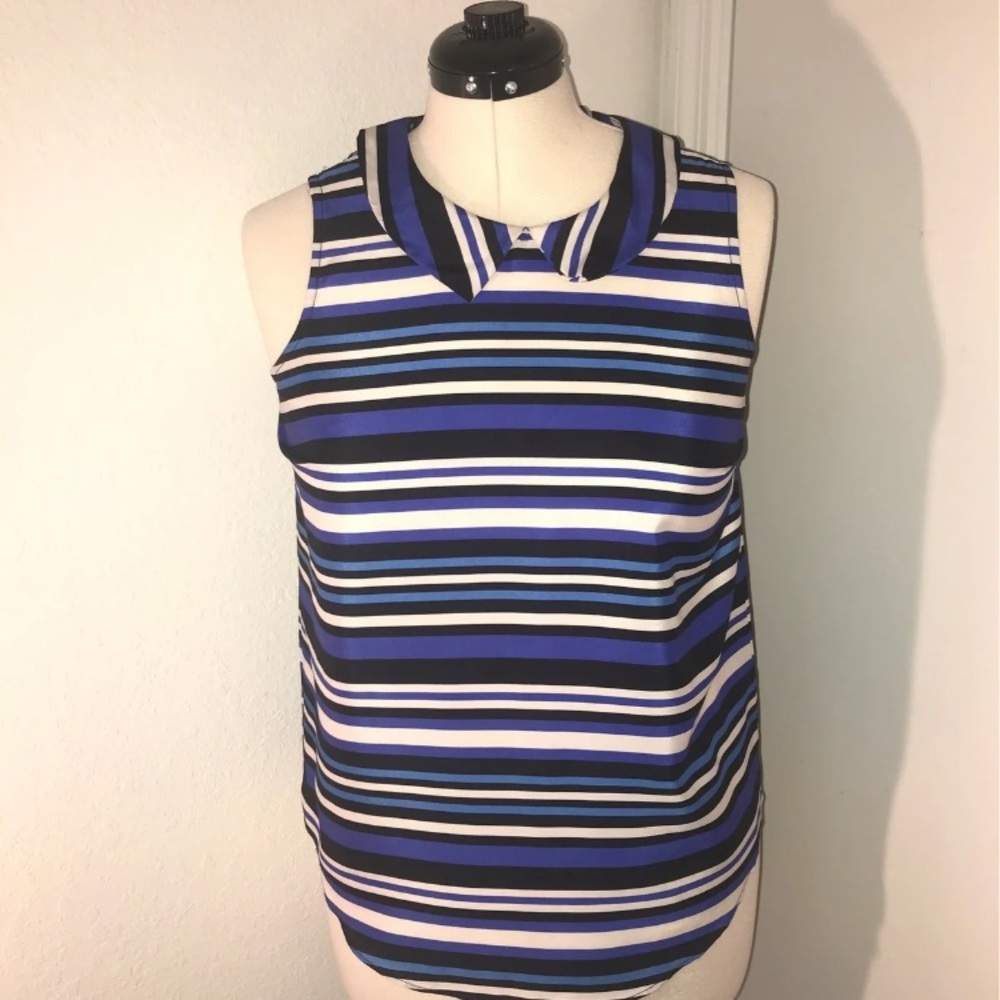 Gap Stripe Peter Pan Color Blue Top